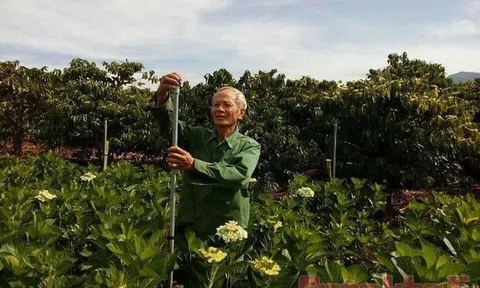 Kết nạp Đảng ở Trường Sa