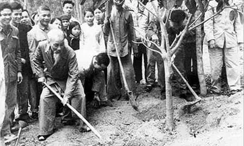 Bác Hồ "khai sinh" Tết trồng cây