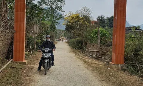 Một mình vào "Lân" lấy thuốc nan y...