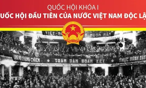 Lịch sử Việt Nam (Từ tiền sử đến năm 2007) (Kỳ 45)