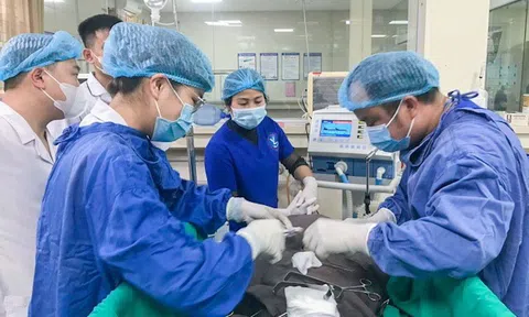 Phú Thọ: Cán bộ y bác sĩ Trung tâm y tế huyện Yên Lập xứng danh "Lương y như từ mẫu"