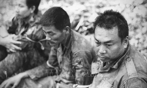 Lịch sử Việt Nam (Từ tiền sử đến năm 2007) (Kỳ 52)