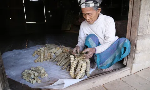Men rượu lá rừng ở vùng cao Hướng Hóa (Quảng Trị)