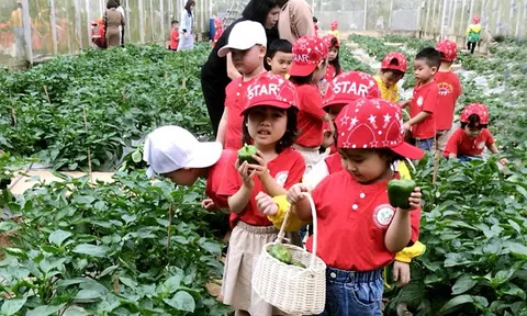 Lào Cai: Trường Mầm non Bắc Cường phấn đấu “Xây dựng trường học hạnh phúc”