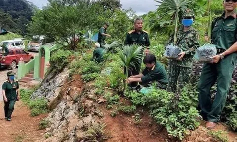 Về lại nơi ấy bạn tôi nằm (Ký sự)
