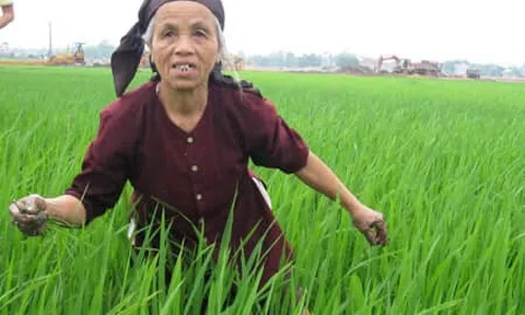 Mượn áo đi họp