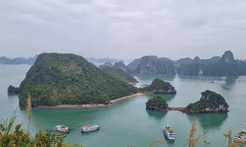 Nghịch lý ?