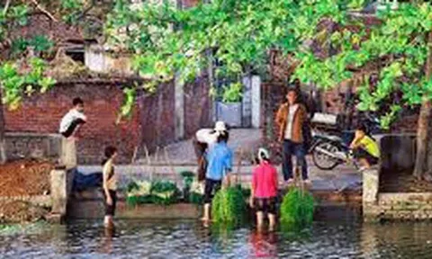 Văn hóa cầu ao