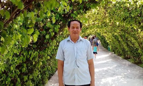 Cây sắn