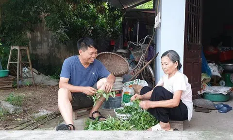 Bố mẹ tôi đã quen nhau và cưới nhau như thế