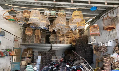 Hà Nội: Làng nghề “dựng nhà” cho chim ở