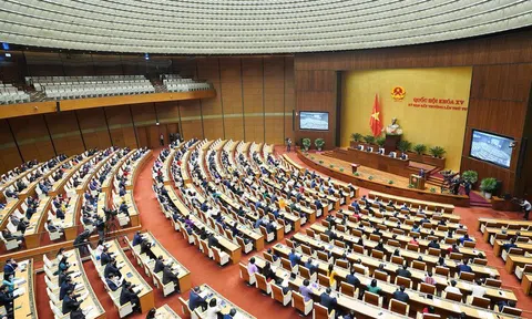 Quốc hội khai mạc kỳ họp thứ 5, bầu và phê chuẩn nhân sự cấp cao