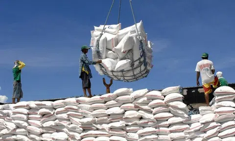 Quốc hiệu Việt Nam qua các thời kỳ lịch sử (Kỳ 36)