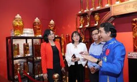 Một thoáng Bảo tàng Sâm Ngọc Linh