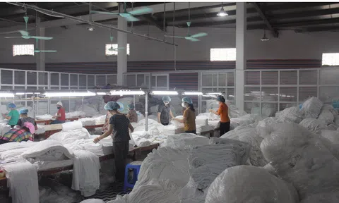 Mô hình giáo dục gắn với thực tiễn của Khoa Luật Trường Đại học Ngoại thương