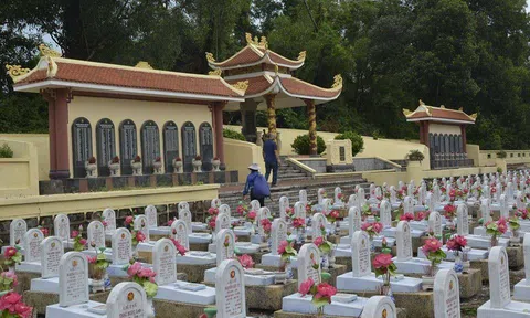 Tháng bảy trong tôi: Cỏ non thành cổ