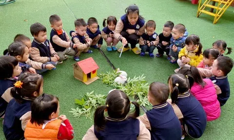 Phú Thọ: Hãy cảnh giác với chiêu trò "cò" chạy biên chế giáo viên
