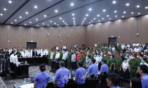 Góc nhìn văn hóa về vụ án "Chuyến bay giải cứu": Cơ chế "xin – cho", cái gốc “đẻ” ra tham nhũng