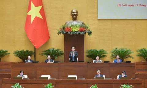 Cử tri đặc biệt quan tâm “Chất vấn và trả lời chất vấn” hai lĩnh vực thuộc lĩnh vực Tư pháp và Nông nghiệp, phát triển nông thôn