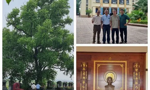 Vĩnh Yên có yên tĩnh