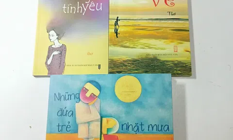 Đôi điều cảm nhận về cái mới trong thơ Trần Thị Hằng qua tập “Những đứa trẻ nhặt mưa”               