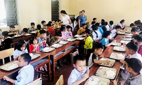 Phú Thọ: Huyện Tân Sơn thành lập thêm 5 trường Phổ thông dân tộc bán trú, giảm bớt khó khăn cho học sinh vùng núi