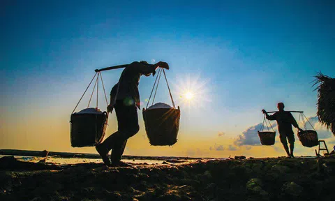 Bóng núi của đời con