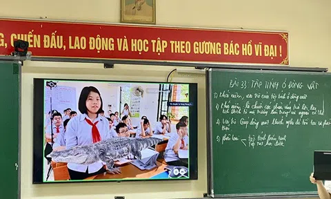 THCS Lê Hồng Phong (TP Lào Cai) ứng dụng phần mềm thực tế ảo vào dạy học  