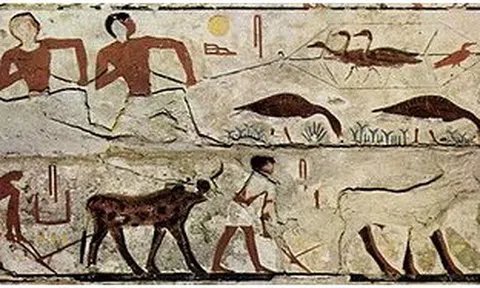 Nguồn gốc loài người từ góc nhìn văn hoá