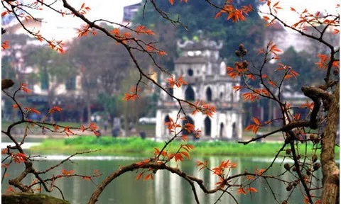 Luận về “Tết” từ góc nhìn con số