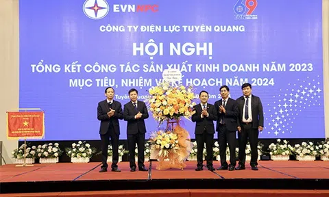 Tuyên Quang: Công ty Điện lực phấn đấu tiếp tục cung cấp điện an toàn, ổn định