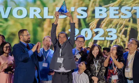 Nỗi nhớ cơm xưa