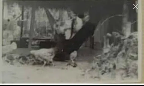 Cô giáo tôi - Hoàng Minh Trâm; Đi tìm chồng (Kỳ 4 - Hết)