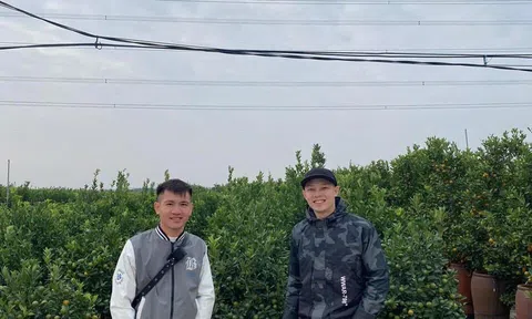 Ngày tết có nên chơi đào, chơi quất?