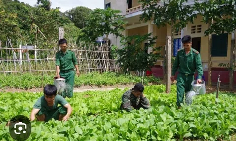 Lính doanh trại trồng rau
