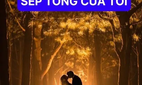 Sếp Tổng của tôi