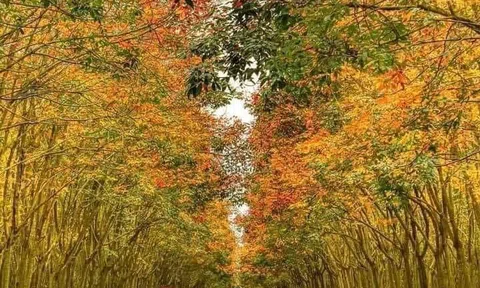 Tôi chịu đựng đủ rồi 