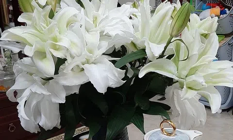  Người làm thuê