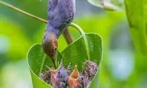  Cho tôi viết về Mẹ !