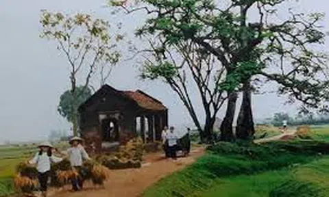 Chuyện nhà lão Dần làng Vũ Đại