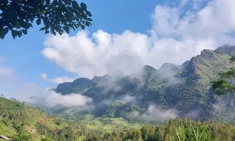 Rưng rưng Bản Phố (Tản văn)