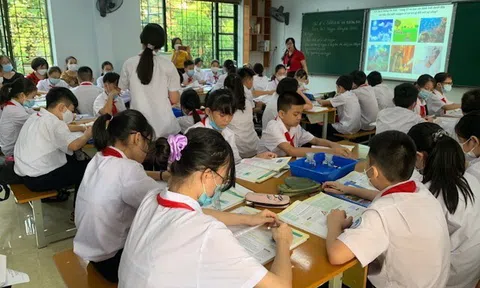  TP Lào Cai đứng đầu thi chọn học sinh giỏi cấp tỉnh lớp 9 THCS năm học 2023 - 2024