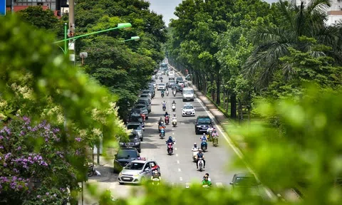 Cây xanh đô thị  ở Việt Nam đang cần nguồn nhân lực chất lượng cao