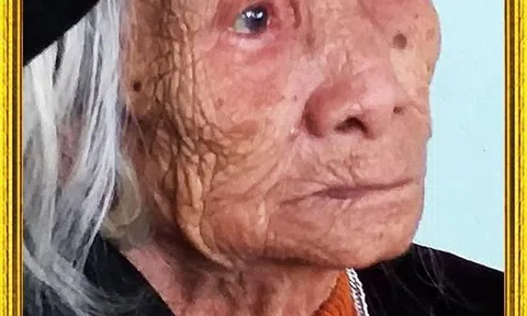  Mẹ vẫn đợi con về
