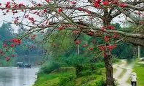 Chùm thơ của Minh Vũ