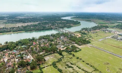Có họ là phải có hàng