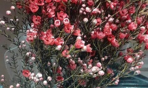 Thức Tỉnh đi .