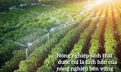 Phát triển “nông nghiệp sinh thái, nông thôn hiện đại, nông dân văn minh” – Từ định hướng Đại hội XIV của Đảng đến động lực tăng trưởng bền vững