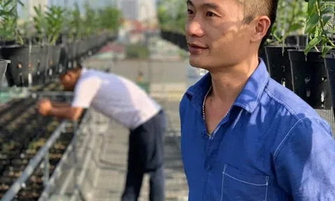 Lê Mạnh Chung truyền cảm hứng về xu hướng vườn trên sân thượng