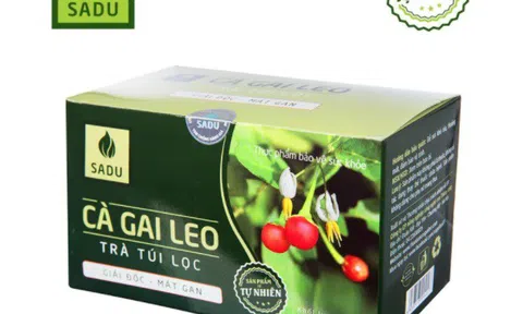Trà túi lọc cà gai leo SADU: Vì sao được người tiêu dùng lựa chọn?